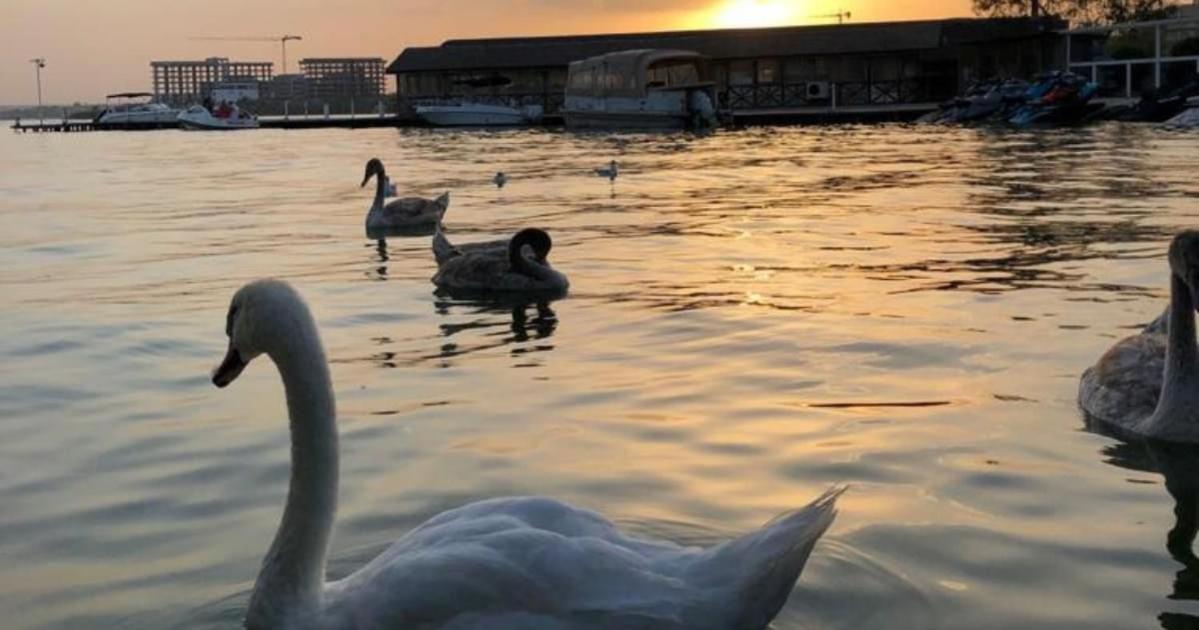 Hotel La Scoica Land Năvodari Exteriér fotografie